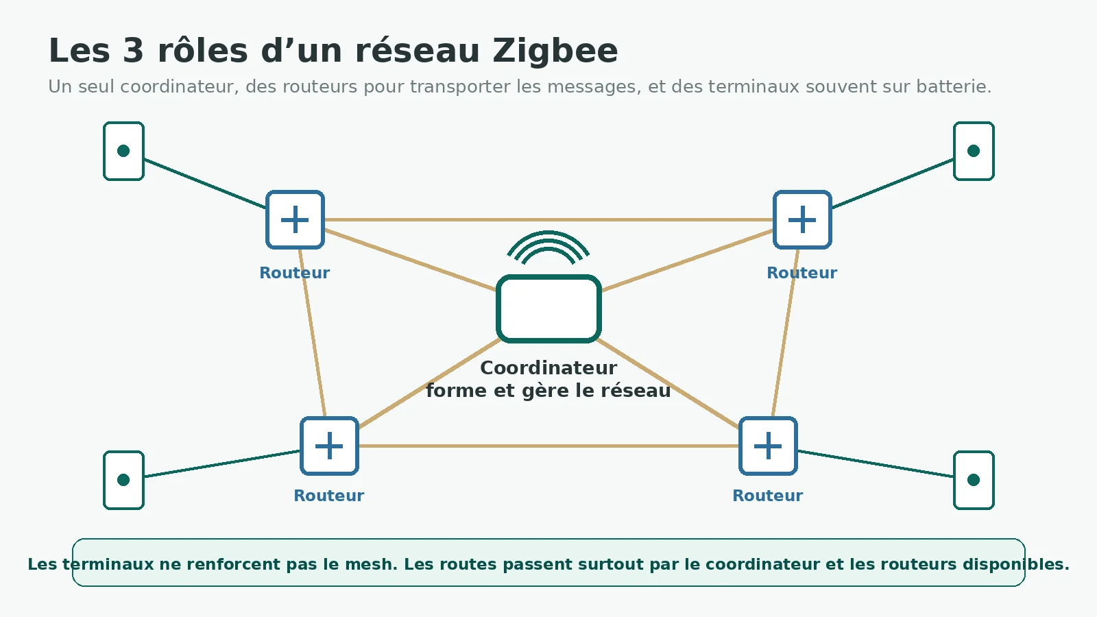 Schéma des trois rôles Zigbee : coordinateur, routeurs et appareils terminaux